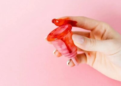 collectivit&eacute;s femmes exp&eacute;rimentation dispositif avaient