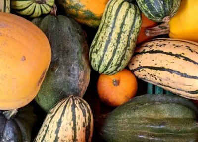 soupe automne f&ecirc;te ch&acirc;teaubriant &eacute;v&eacute;nement