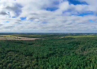 forestiers jean loire forêt privés