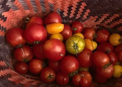 saint nazaire alimentation d&eacute;fi agglom&eacute;ration