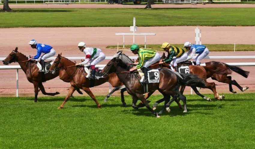 Châteaubriant : mieux connaître la ville