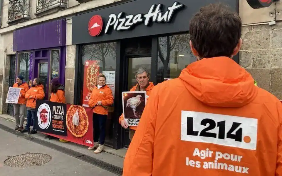 pizza élevage animaux intensif plus