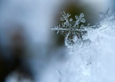 Nantes et sa métropole face à un épisode neigeux exceptionnel