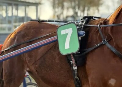 L'hippodrome de la Métairie Neuve accueille sa deuxième réunion de