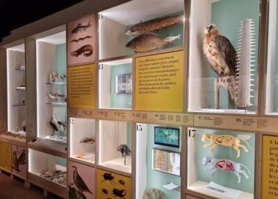 Orvault : l’exposition « Trésors & biodiversité » s’installe au château de la Gobinière