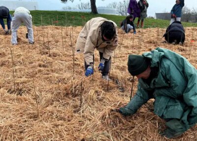 Blain :  des lycéens plantent une forêt de poche pour verdir leur établissement