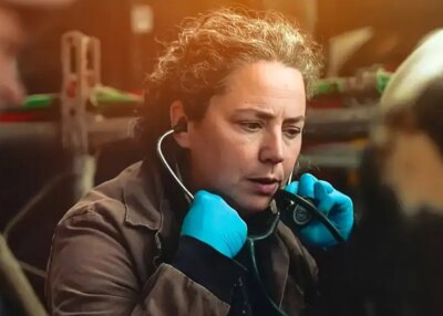 « Véto de campagne » : quand la désertification vétérinaire menace l'élevage français