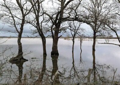 La tempête Nils frappe la Loire-Atlantique : le département sous les eaux