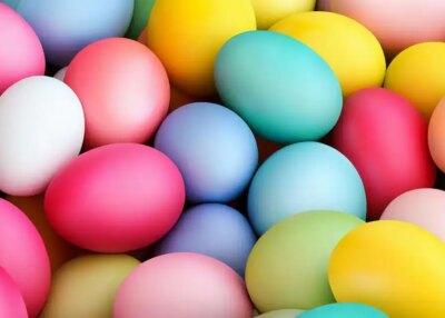 Chasse aux oeufs Saint Herblain