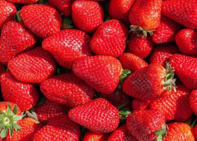 Rappel produit : ces fraises vendues en vrac chez Grand Frais et Fresh trop chargées en pesticides