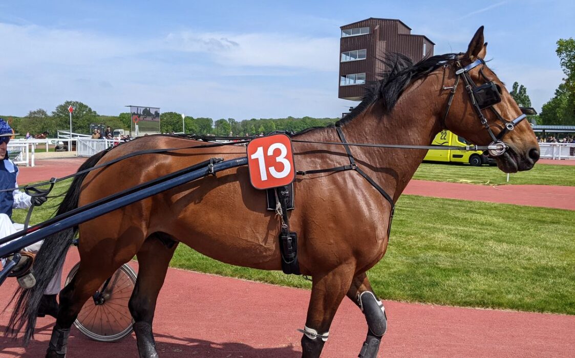 Grand National du Trot à l'hippodrome de Châteaubriant