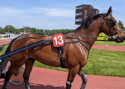 Grand National du Trot à l'hippodrome de Châteaubriant