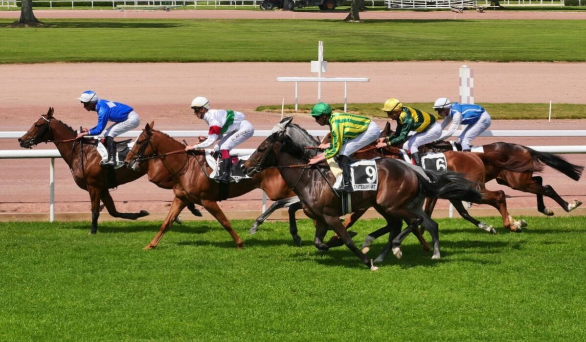 Deux Journées de Galop à l'hippodrome de Châteaubriant.