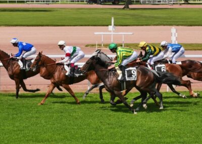 Deux Journées de Galop à l'hippodrome de Châteaubriant.