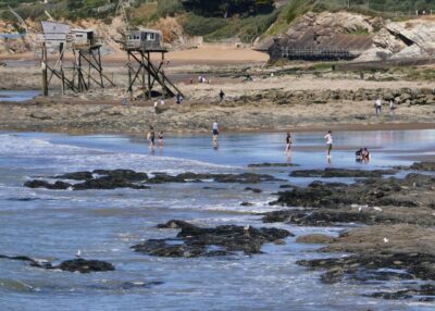 Loire-Atlantique, terre de cin&eacute;ma sur l'enfance : quatre regards d'une m&ecirc;me sensibilit&eacute;