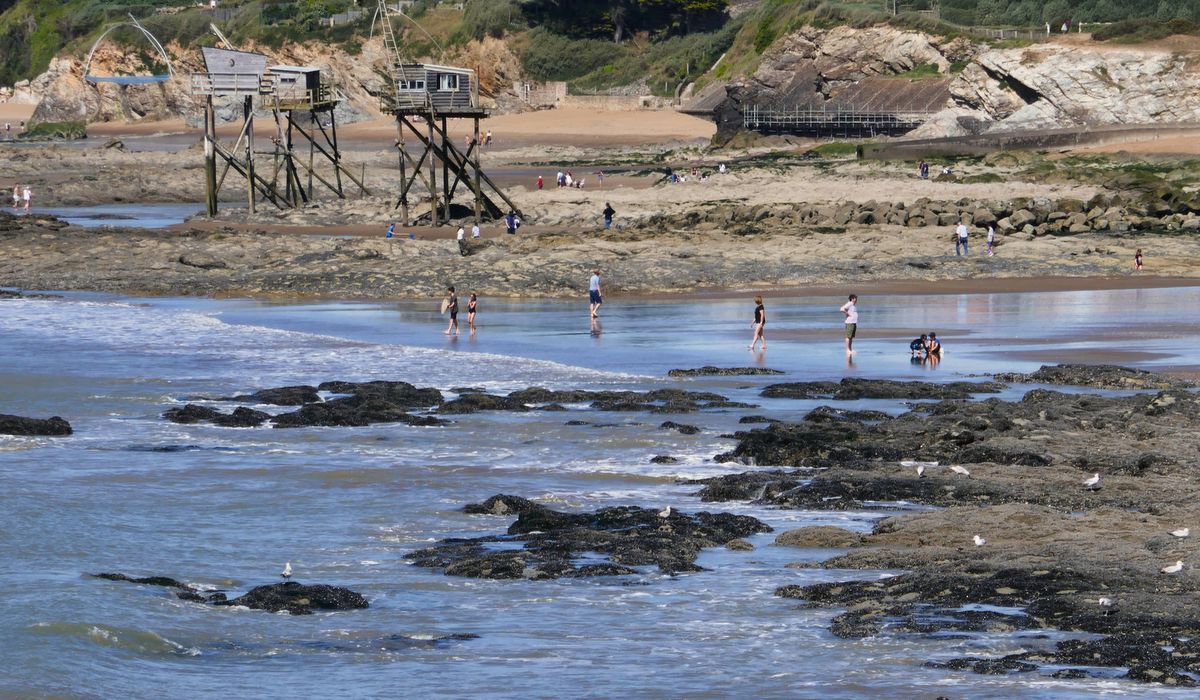 Loire-Atlantique, terre de cinéma sur l'enfance : quatre regards d'une même sensibilité