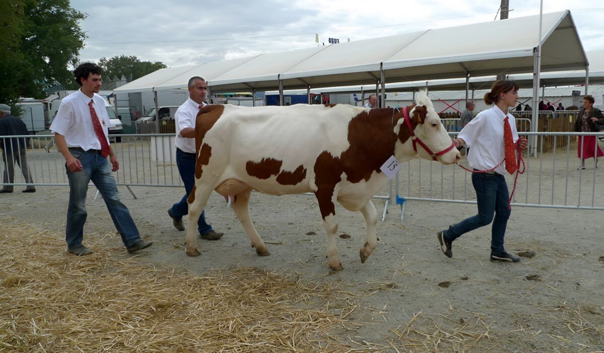 Foire de Béré 2026 à Châteaubriant : programme complet, animations, invités et infos pratiques