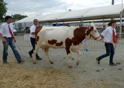 Foire de Béré 2026 à Châteaubriant : programme complet, animations, invités et infos pratiques