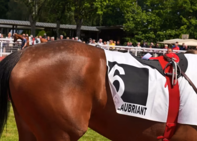 Journ&eacute;e Pr&eacute;mium Galop : les courses de l'hippodrome de Ch&acirc;teaubriant d&eacute;localis&eacute;es