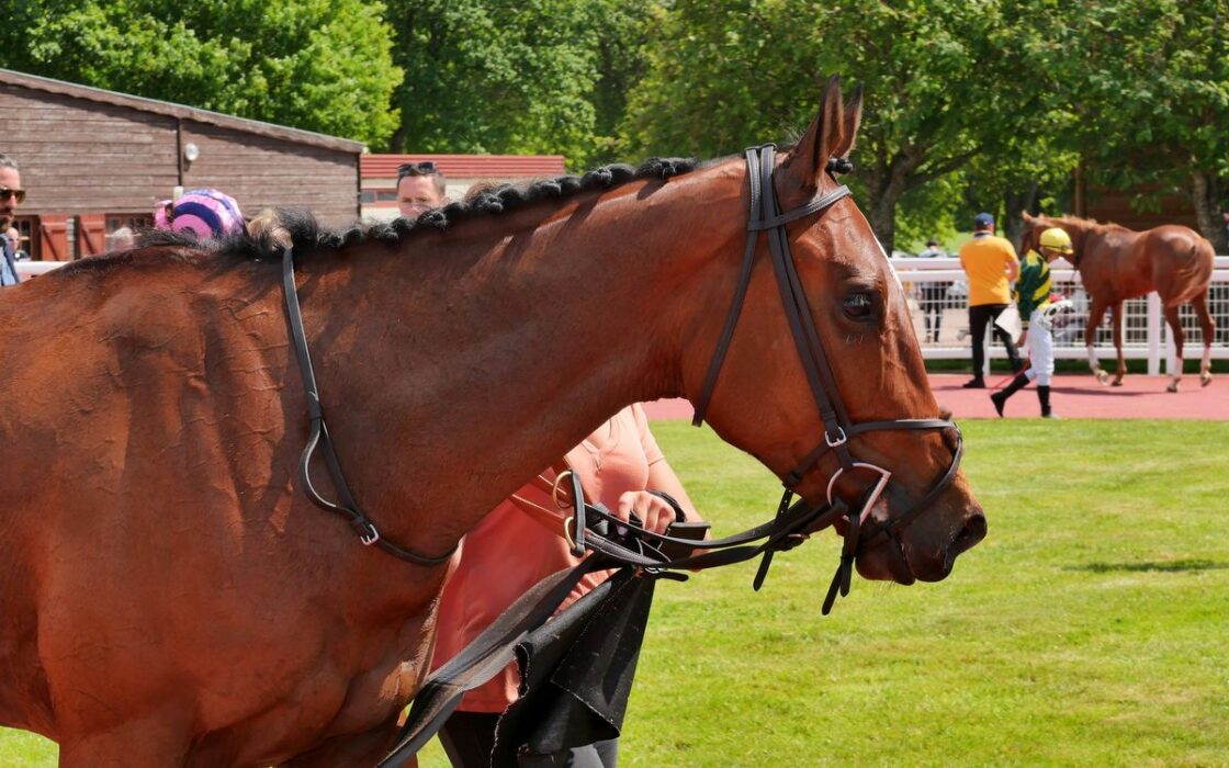 Journée Prémium Trot ce dimanche à l'hippodrome de Châteaubriant
