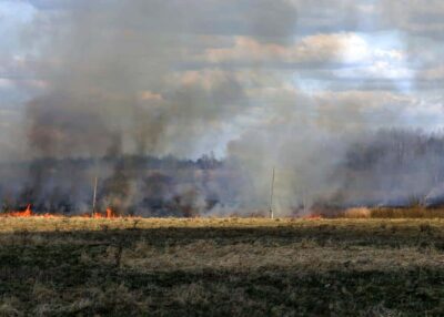 Grand-Auverné : un feu de champs ravage 4 hectares