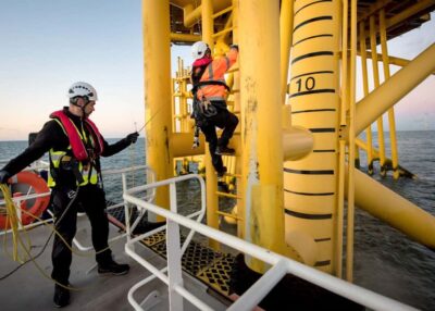 Éoliennes en mer et biodiversité : ce que révèle l'expertise scientifique Ifremer-CNRS