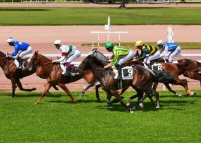 Hippodrome de la M&eacute;tairie Neuve : les meilleurs galopeurs attendus ce mardi &agrave; Ch&acirc;teaubriant