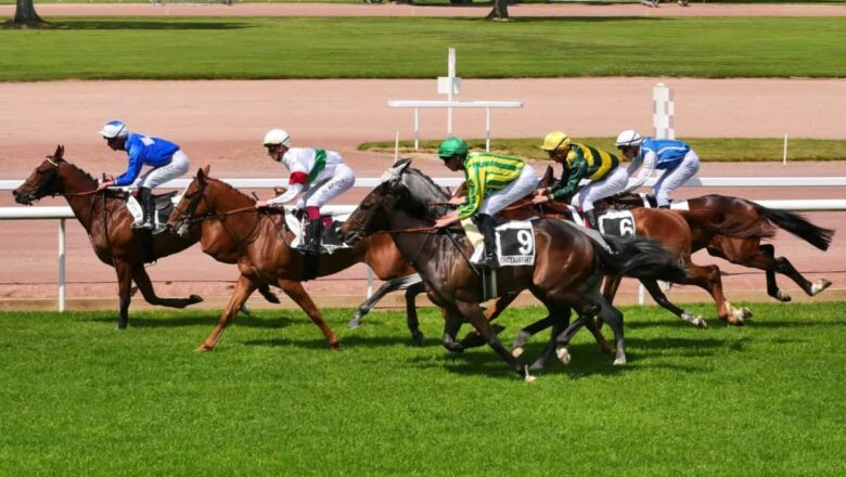 Hippodrome de la Métairie Neuve : les meilleurs galopeurs attendus ce mardi à Châteaubriant