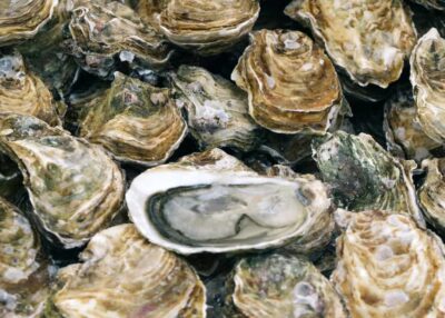 Vagues de chaleur marines : la mer aussi a ses canicules