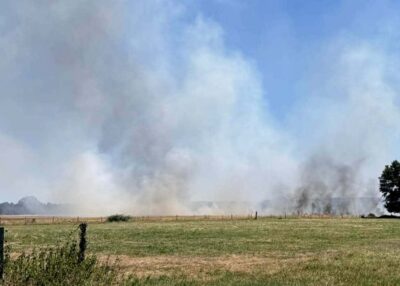 Saffr&eacute; : un feu de bl&eacute; sur pied ma&icirc;tris&eacute; gr&acirc;ce &agrave; l'action conjointe des agriculteurs et des sapeurs-pompiers