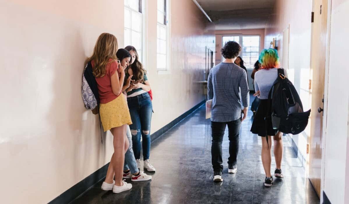 Baccalauréat 2026 en Loire-Atlantique : des taux de réussite en recul dans les trois voies