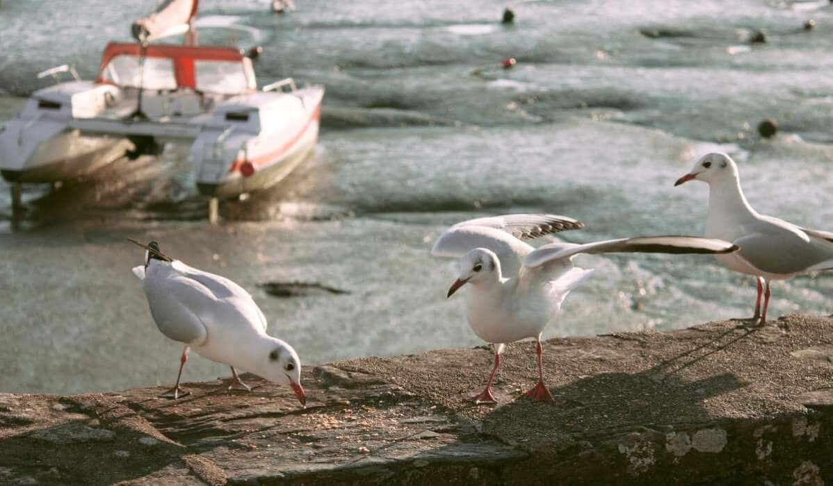 Météo Loire-Atlantique, un milieu de semaine orageux