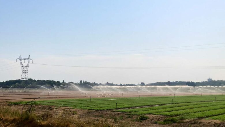 Sécheresse Loire-Atlantique