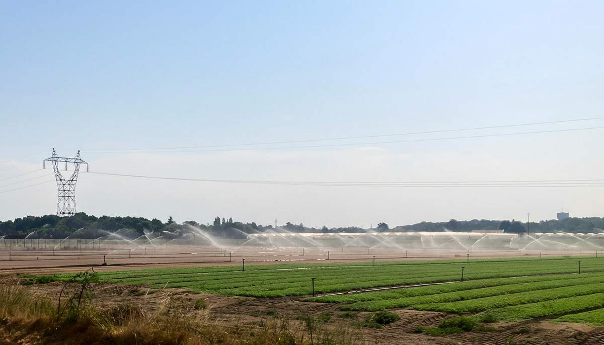 Sécheresse Loire-Atlantique