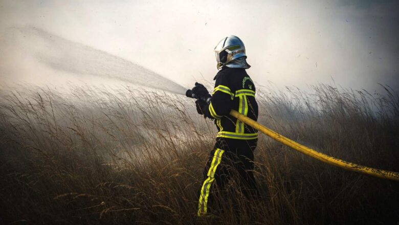 Feu de végétation à Pornic : plus de 100 sapeurs-pompiers mobilisés au Clion-sur-Mer