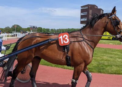 Trot &agrave; Ch&acirc;teaubriant : huit courses vendredi 7 ao&ucirc;t pour plus de 150 000 euros d'allocations