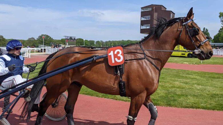 Trot &agrave; Ch&acirc;teaubriant : huit courses vendredi 7 ao&ucirc;t pour plus de 150 000 euros d'allocations