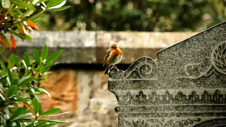 Toussaint : l'arrosage des fleurs autorisé dans les cimetières