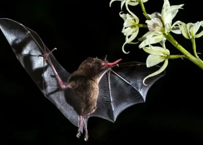 Vertou : un mois d'animations pour adapter son habitat, son &eacute;nergie et sa gestion de l'eau