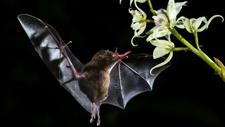 Vertou : un mois d'animations pour adapter son habitat, son énergie et sa gestion de l'eau