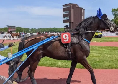 Hippodrome de Ch&acirc;teaubriant : la M&eacute;tairie Neuve passe au tout plat