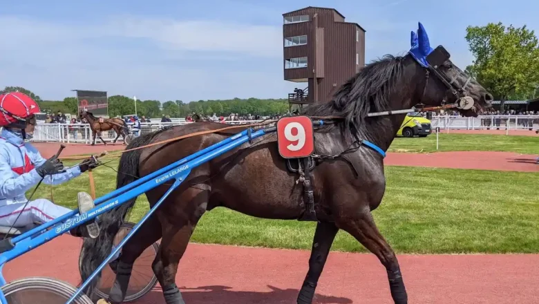Hippodrome de Châteaubriant : la Métairie Neuve passe au tout plat