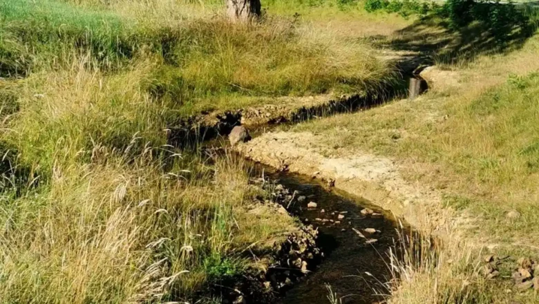 Derval : l’ADED invite à remonter à pied le ruisseau du Pas d’Hin