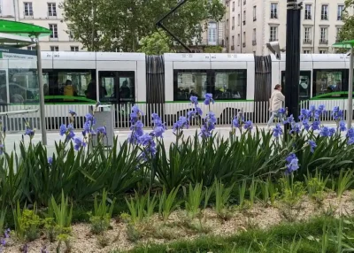 Manifestation &agrave; Nantes : tramways et bus perturb&eacute;s samedi 31 octobre